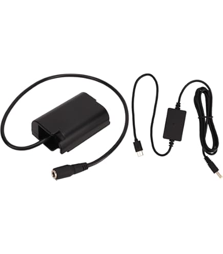 Amazon | パナソニック(Panasonic) 【メーカー純正品】 DMW-AC10 LUMIX